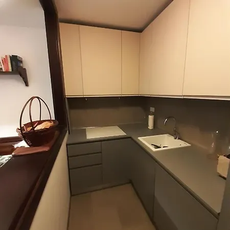 Affacciato Sui Campi E Piste Da Sci Apartamento