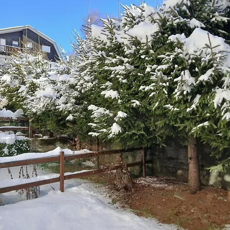 Affacciato Sui Campi E Piste Da Sci *